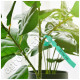 Бірка садова зелена 21х2 см