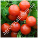 Томат Дубок 0.25 г Gl Seeds