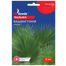 Пальма Вашингтонія 5 шт Gl Seeds