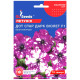 Петунія Дот стар дарк віолет F1 10 шт Gl Seeds