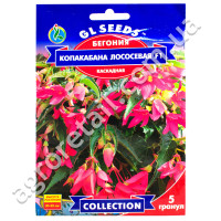 Бегония Копакабана лососевая F1 5 шт Gl Seeds