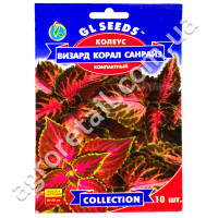 Колеус Визард Корал Санрайз 10 шт Gl Seeds