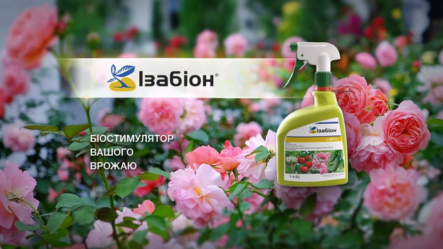 https://agroretail.com.ua/ua/p2193415155-udobrenie-izabion-sprej