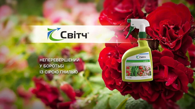 https://agroretail.com.ua/ua/p2201007282-fungitsid-svitch-625