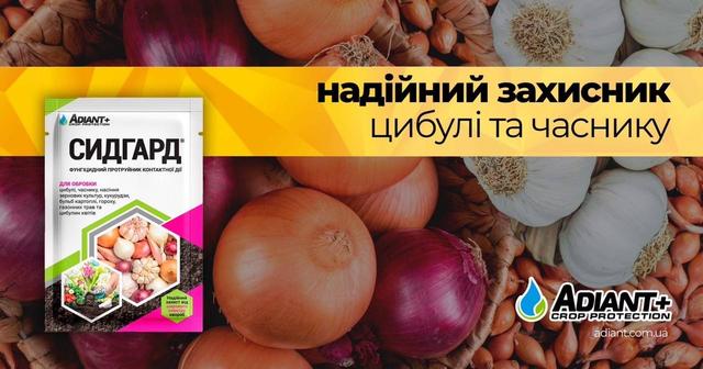 https://agroretail.com.ua/ua/p1130367338-protravitel-sidgard-adiant