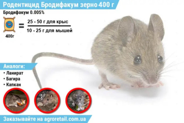 https://agroretail.com.ua/p357598767-zerno-krys-myshej