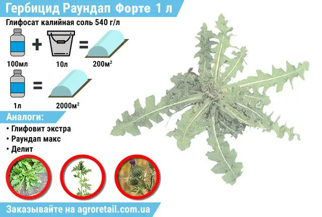 https://agroretail.com.ua/p529723261-gerbitsid-raundap-ekstra